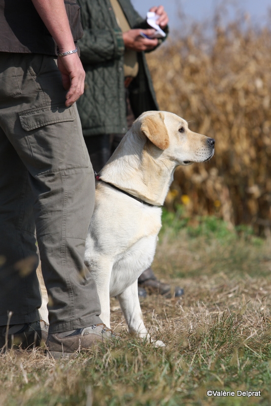 Field Erstein 09 (26).JPG